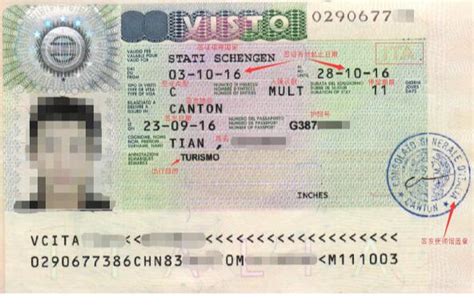 因公出入境证件数码照片规格样式