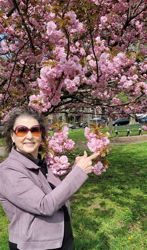 First Botany 的图像结果