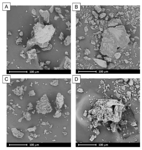 The Self-Assembly Phenomenon of Poloxamers and Its Effect on the ...