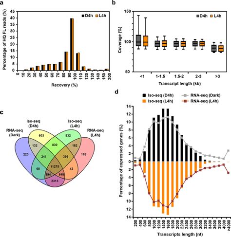 Transcriptome Plot 的图像结果