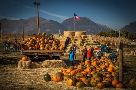 Victor Photos - Featured Images of Victor, MT - Tripadvisor