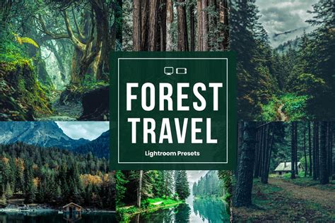 Forest Lightroom Presets – MasterBundles