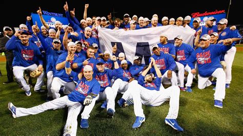 What we learned: Go, Cubs, Go ... all the way to the World Series ...