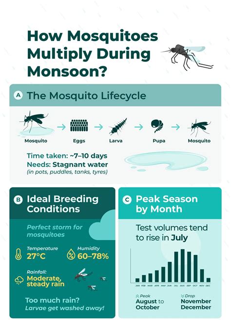 PharmEasy Lab Report Reveals Why Dengue Peaks in Monsoon