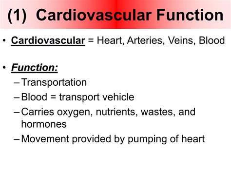 Tutorial of How a Heart Functions 的图像结果