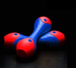 SHINE SPORTS 2 kg PVC Dumbbell Set, 1 Pair Dumbbells, Home Gym 2KGS X ...