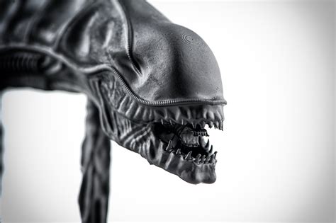 Image result for Alien Xenomorph Head