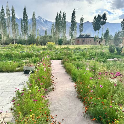NUBRA ECOLODGE (Sumur) - Lodge Reviews, Photos, Rate Comparison ...