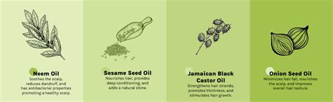 Buy Tattvalogy Wide Toothed Raw Neem Comb with Handle |Kaachi Neem ...