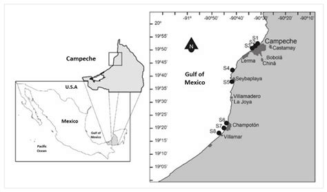 Paralytic Shellfish Toxins of Pyrodinium bahamense (Dinophyceae) in the ...
