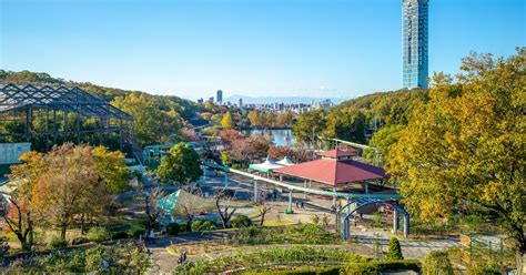 Cheap Car Rentals in Chikusa Ward, Nagoya | Cheapflights