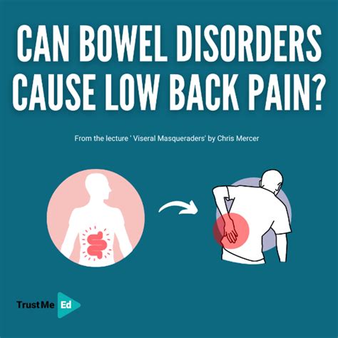 Lower Back Hurts Constipation
