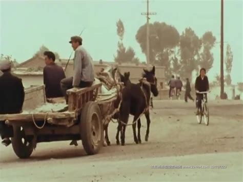 70年代农村老照片_70年代农村老照片图库_微信公众号文章