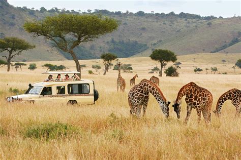 Luxury Kenya Safari | Great Migration, Big 5 & Maasai Culture