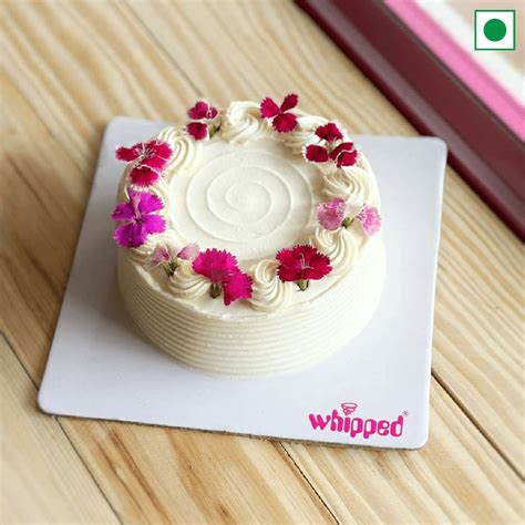 Madagascar Vanilla Cream Cheese spongecake – Whipped