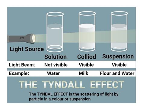 Identify which of the following will show Tyndall effect and why? ( Egg ...