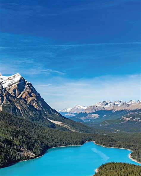 Step Back in Time at the Yankee Peddler Festival 2025!