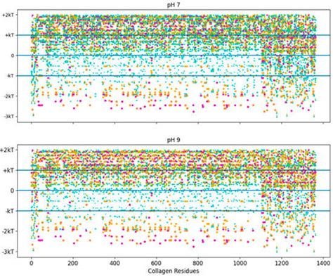 Designing Collagen-Binding Peptide with Enhanced Properties Using ...
