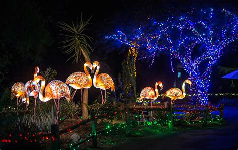 Here’s your guide to ‘ZooLights’ at the Phoenix Zoo