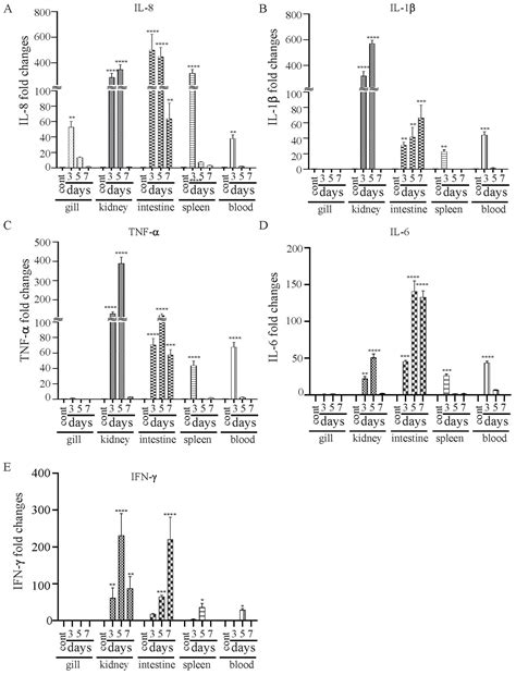 Recombinant Attenuated Edwardsiella piscicida Vaccine Displaying ...