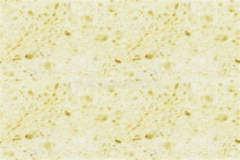 Image result for Bread Crust