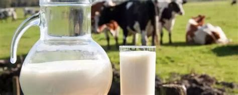 牛奶产业链全景图 上游原奶篇 什么是原奶? 原奶是牛奶的核心原材料，主要可分为生鲜乳和大包粉。生鲜乳是指未经加工的奶畜原奶;大包粉是生鲜 ...