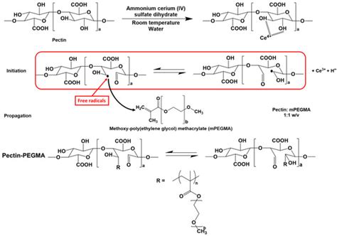 Thixotropic Supramolecular Pectin-Poly(Ethylene Glycol) Methacrylate ...