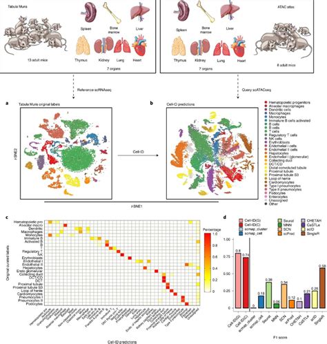 Nature Biotechnology 的图像结果