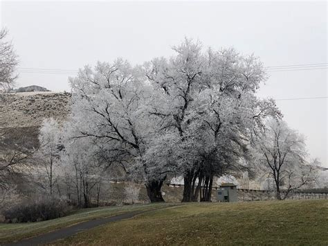 STAGECOACH RV PARK (Selah) - Campground Reviews & Photos - Tripadvisor