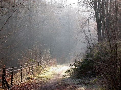 Royal Forest of Dean, berkeley, United Kingdom - Top Attractions ...