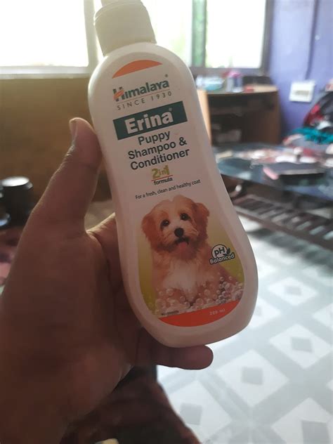 Buy Himalaya Erina Puppy Shampoo & Conditioner 200Ml Online at Low ...