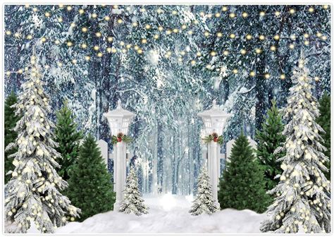 Winter Wonderland Christmas Backgrounds