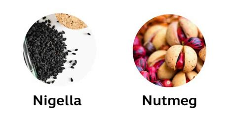 List of Herbs and Spices From A-Z (119 Spices)