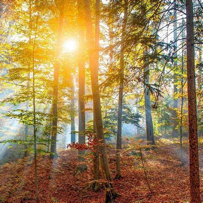 Master Your Message Public Speaking Training Course | Delamere Forest ...