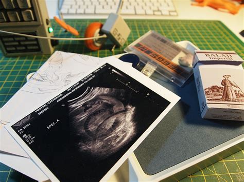 Image result for Alien Isolation Props