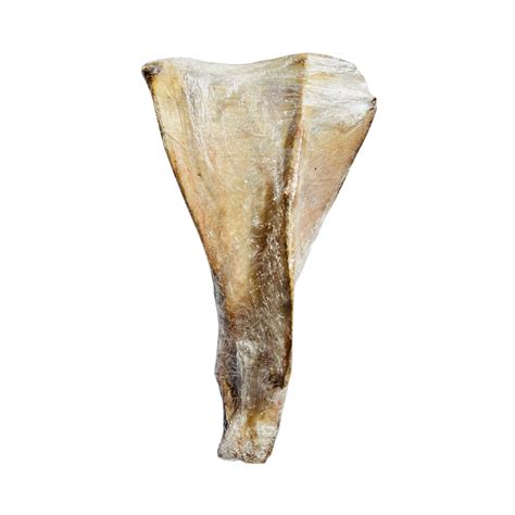 Buy FloofYou Buffalo Shoulder Bone Chew Dehydrated Natural Healthy Dog ...