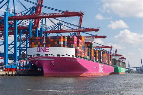 Track Container 的图像结果