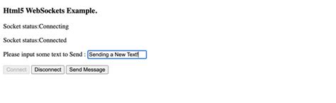 Image result for WebSocket JavaScript