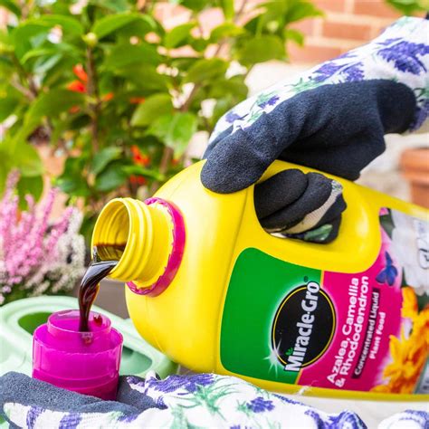 Miracle-Gro Ericaceous Concentrate Plant Food 800ml - Shop - Skylark Garden Centre