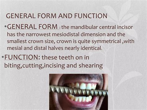 lower/mandibular central incisor | PPTX