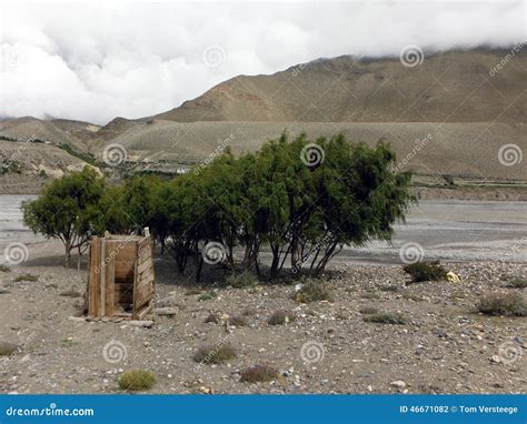 Primitive Toilet Using 的图像结果