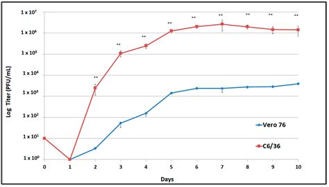 Characterization of a Dengue Virus Serotype 1 Isolated from a Patient ...