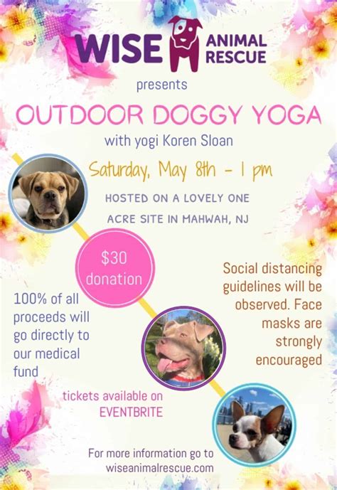 Outdoor Doggy Yoga * FUNDRAISER* | Wise Animal Rescue