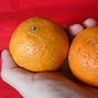 tangerine 的图像结果