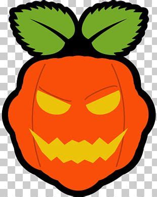 Image result for Raspberry Pi Logo Transparent