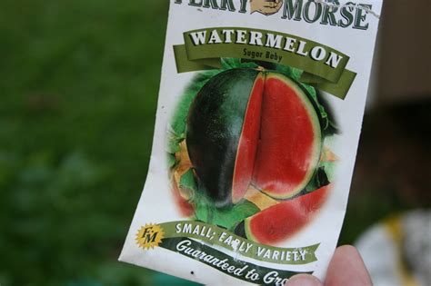 Garden Gals Share the Adventure! - BloominThyme