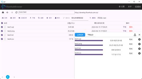 File Download Interface 的图像结果