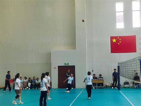 管理学院学子在安徽省排球联赛·宿州站荣获冠军-管理学院