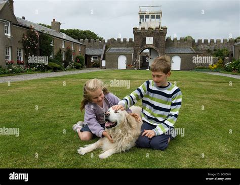 Sis vs Bro Dog 的图像结果