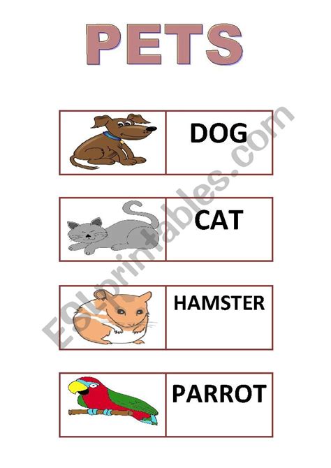 Pets Worksheet 的图像结果